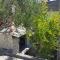 Apartmani LuMa Apartman Marija