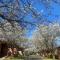 Mount Waverley Townhouses