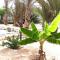 Beach house Agua Viva, Praia de Chaves, Boa Vista, Sal Rei, Cape Vert, 50mt spiaggia