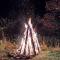 Wild-Traditional Bucovina