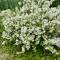 Freiblick 1 Bad Glbg mit Garten Top1