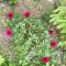 Freiblick 3 Bad Glbg mit Terrasse Top 3