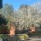 Mount Waverley Townhouses