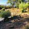 Le refuge des canards