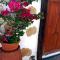 Casa rural Alessia with jacuzzi ,garden & swimming pool - سانتا كروث دي تينيريفه
