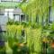 Chi House Danang Hotel and Apartment