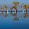 King Evelthon Beach Hotel & Resort