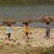 Bardia Eco Lodge