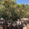 Hvar island -Enjoy Your privacy by the sea