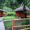 Wood Cabin - Cabana Maderas