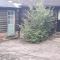 Moaps Farm B&B support small business, welcome, check in from 5 pm