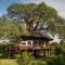 Tarangire Treetops Tarangire Treetops