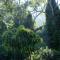 Hughes Hideaway - 2BR Cottage on 1 Acre w Air Con, King Beds