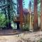 Redwood Lodge - Monte Rio