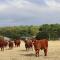 Oxen Cottage Nables Farm - Seagry