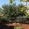 Apartments with a parking space Umag - 7057 - 乌马格
