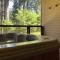 Carson Hot Springs Resort & Spa - Carson