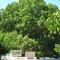 Guesthouse Eleftherios