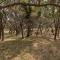 The Armadillo Cabin - Cabins At Rim Rock - Austin