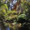 Cabañas Los Cantos del Chucao - Puerto Varas