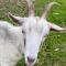 Farm Stay HARMONY Cottage at Wilindi Estate