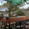 Secluded fishermans cottage Lavdara, Dugi otok - 8155