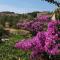Apartments with a parking space Sali, Dugi otok - 8153 - 萨利