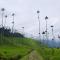 Foto: Hotel El Mirador del Cocora 3/101