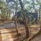 Vultures View 8
