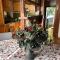 Chalet Blanc "Coeur Sapin"