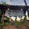 Dream Catcher Nipas Siargao - جنرال لونا