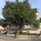 Apartments with a parking space Jelsa, Hvar - 8732