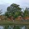 สวนเกษตรรักษ์ไผ่ Bamboo Conservation Farm - Surin