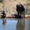 MILIMA Big 5 Safari Lodge