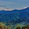 11 Monteviot: Luxury homestay overlooking a tea estate