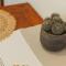 Cien Palmas- Authentic Mexican Casita 2 -Downtown