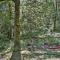 Rustic Cougar Cabin with Wood-Burning Fire Pit!