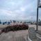 Nordland Appartements - Wohnung Sylt
