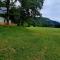Radovna Mountain Valley Cottage