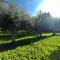 IL GIARDINO DI ATHENA