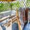 3 Bedroom Cozy Home In Kopalino