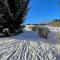 Franzis Feriendomizil im Herzgebirge am Skihang - Auerbach
