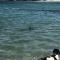 Luxury Sea View Cottage Ballyconneely Winter Specials
