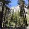 Breckenridge Chalet near Yosemite. Dog friendly! - Groveland