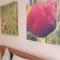 THE POPPIES Guest House - 100m Ocean - Private Spaces