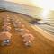 Blumar El Dome Hotel Blumar El Dome Hotel