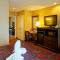 Castle Inn and Suites Anaheim - Anaheim