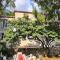 Les Hauts de St Jacques maison dexception 300m2, jardin arboré 2000m2