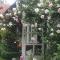 B&B Rosindell