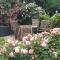 B&B Rosindell